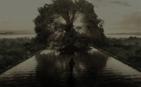 وہ صحابی جنہیں اللہ نے سب سے طویل عمر عطافرمائی.