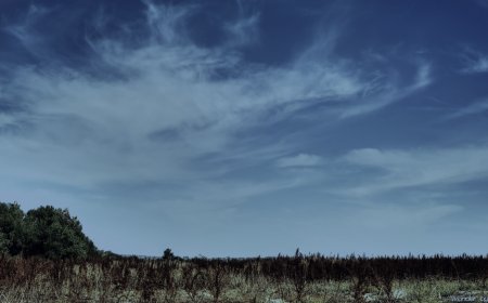 وہ صحابی جس کے نام ونسب کا ذکر آسمانوں میں ہوا