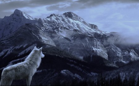 وہ صحابی جس سے بھیڑے نے بڑی فصیح وبلیغ زبان میں گفتگو