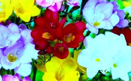 دنیا ہی میں جنت کی خوشبو محسوس کرنے والا صحابی