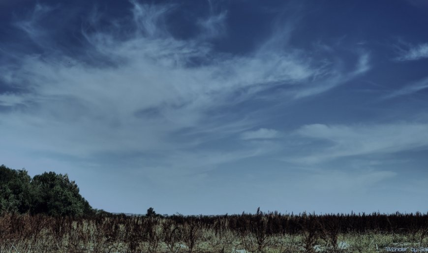 وہ صحابی جس کے نام ونسب کا ذکر آسمانوں میں ہوا