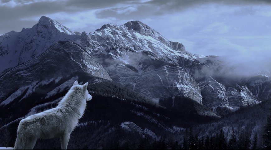 وہ صحابی جس سے بھیڑے نے بڑی فصیح وبلیغ زبان میں گفتگو